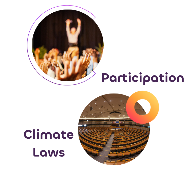 Participation and Climate Laws